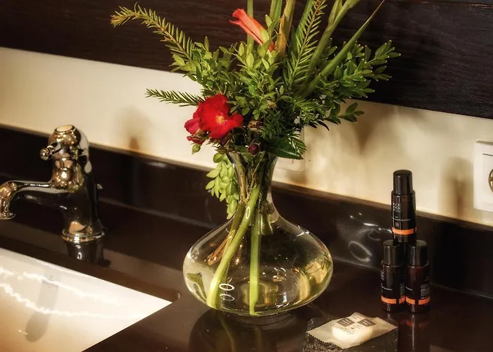 Hotel Parkhotel Surenburg